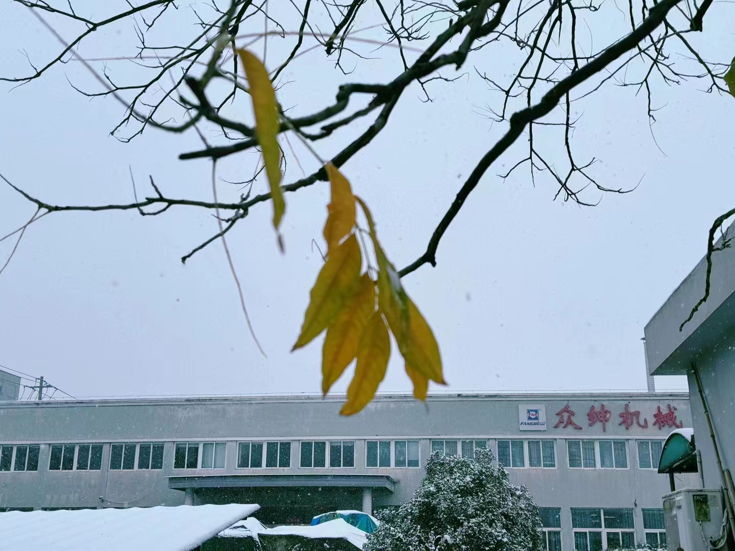 冬天的第一場(chǎng)雪